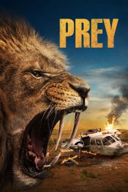 Watch Prey 2024 Full Movie Online Free