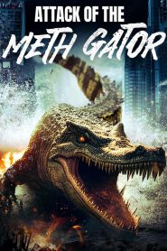 Watch Attack of the Meth Gator 2024 Full Movie Online Free